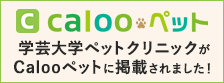 Caloo ペット 学芸大学ペットクリニックがCalooペットに掲載されました！