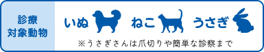 診察対象動物 いぬ ねこ うさぎ うさぎさんは爪切りや簡単な診察まで