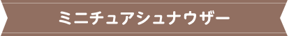 ミニチュアシュナウザー