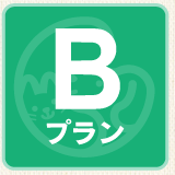 Bプラン